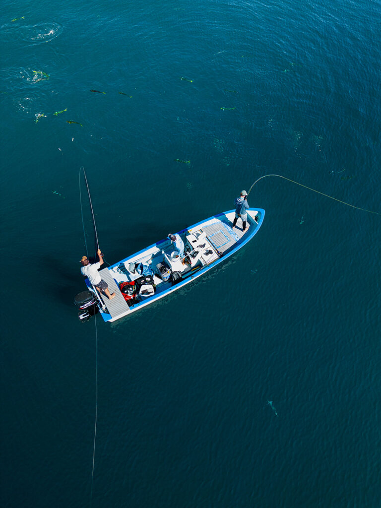 Fly Fishing Angling Baja